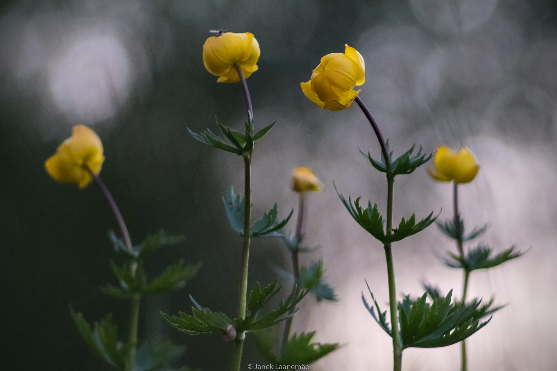 20180521_5790