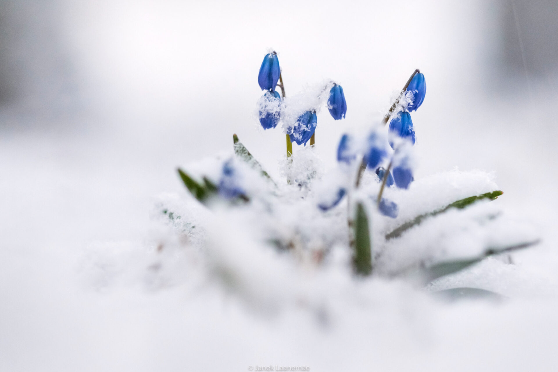 20190410_1416
