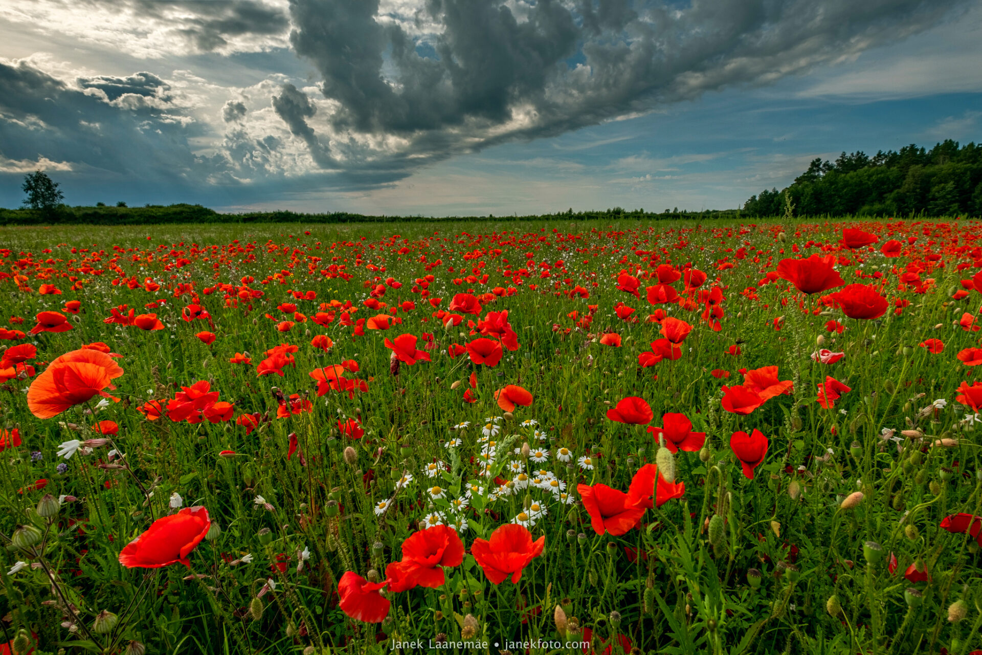 20200720_4296-HDR (1)
