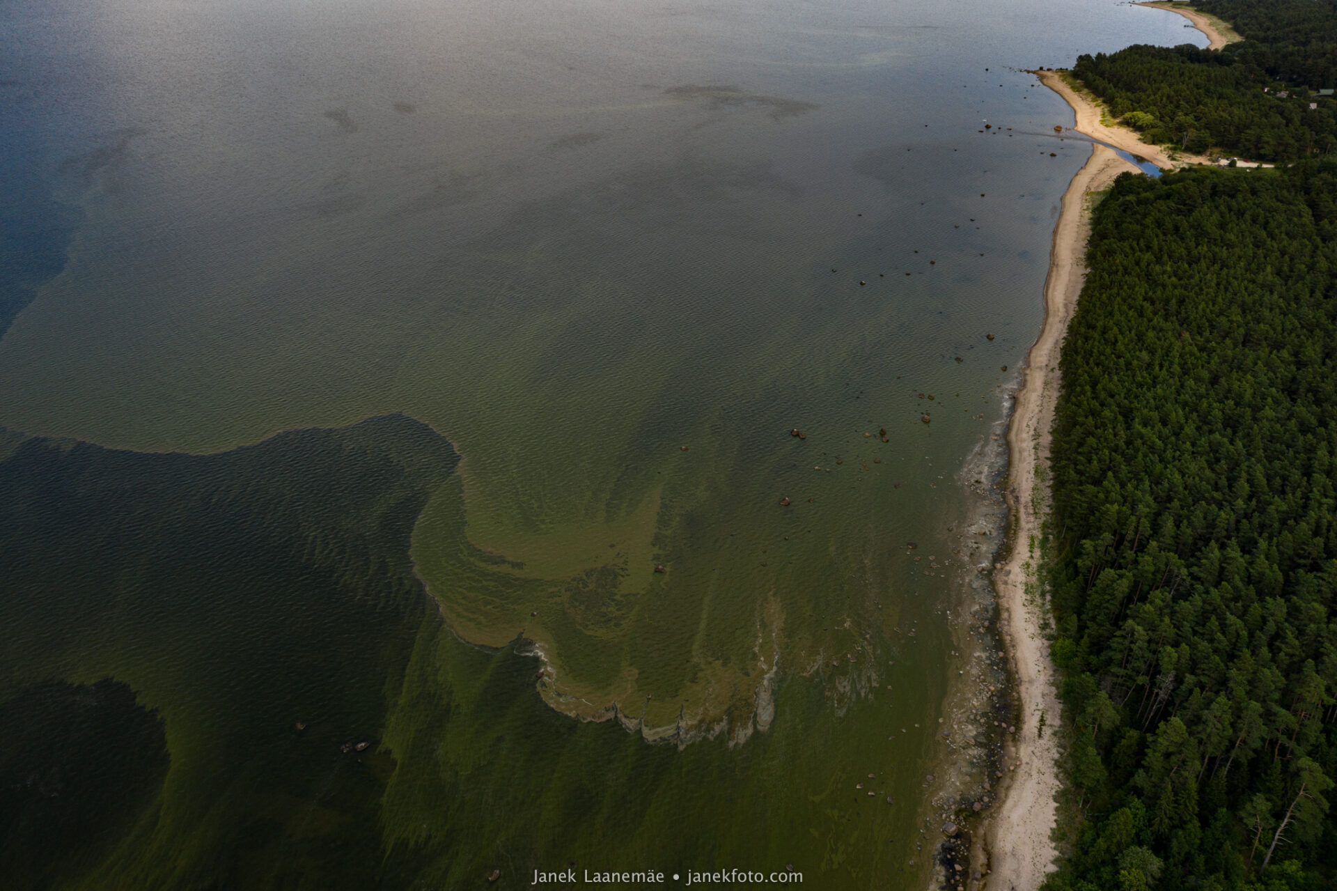 DJI_0385